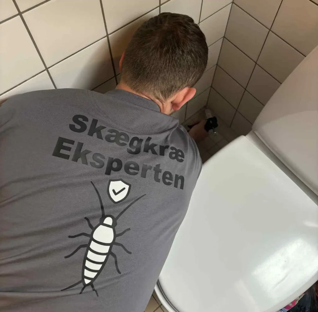 Skadedyrsbekæmper SkægkræEksperten skægkræ